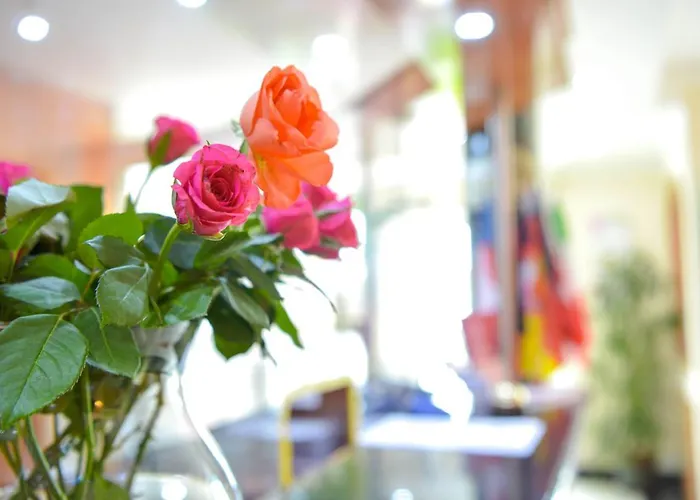 酒店 奥派酒店 3*